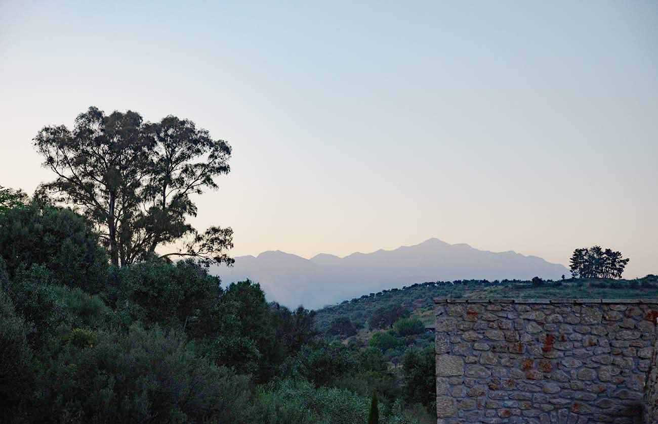 Alistos exterior